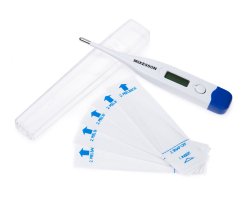 Digital Stick Thermometer McKesson Oral Probe Handheld - Image 4